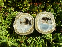 Naches Thunderegg